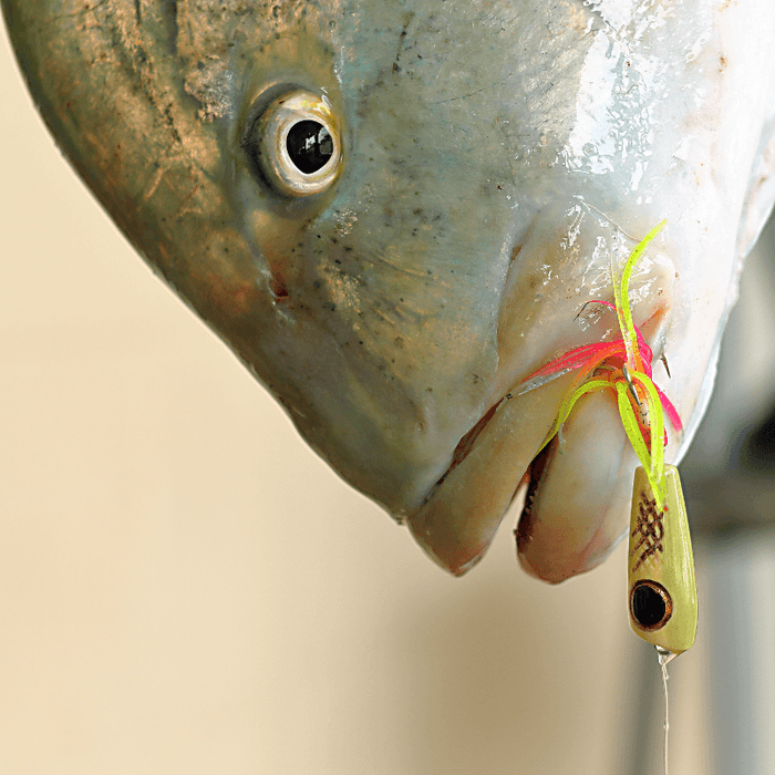 Mark White Lures Yellow/Green with Black Eye Surface Plug — HiFishGear